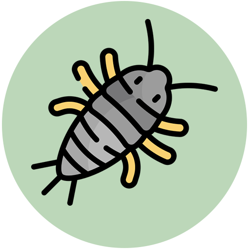 Silverfish